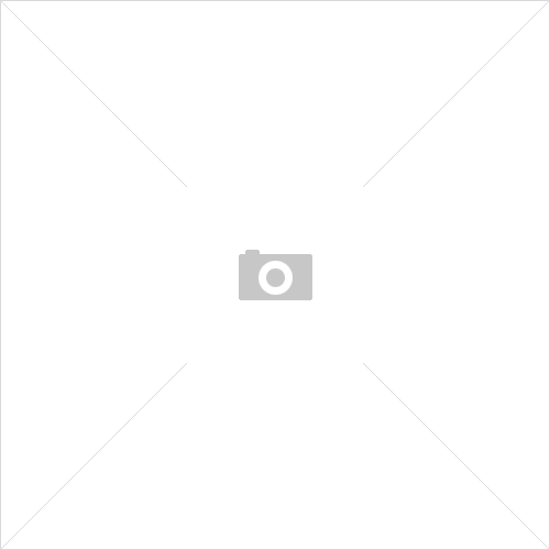 파티붕붕
